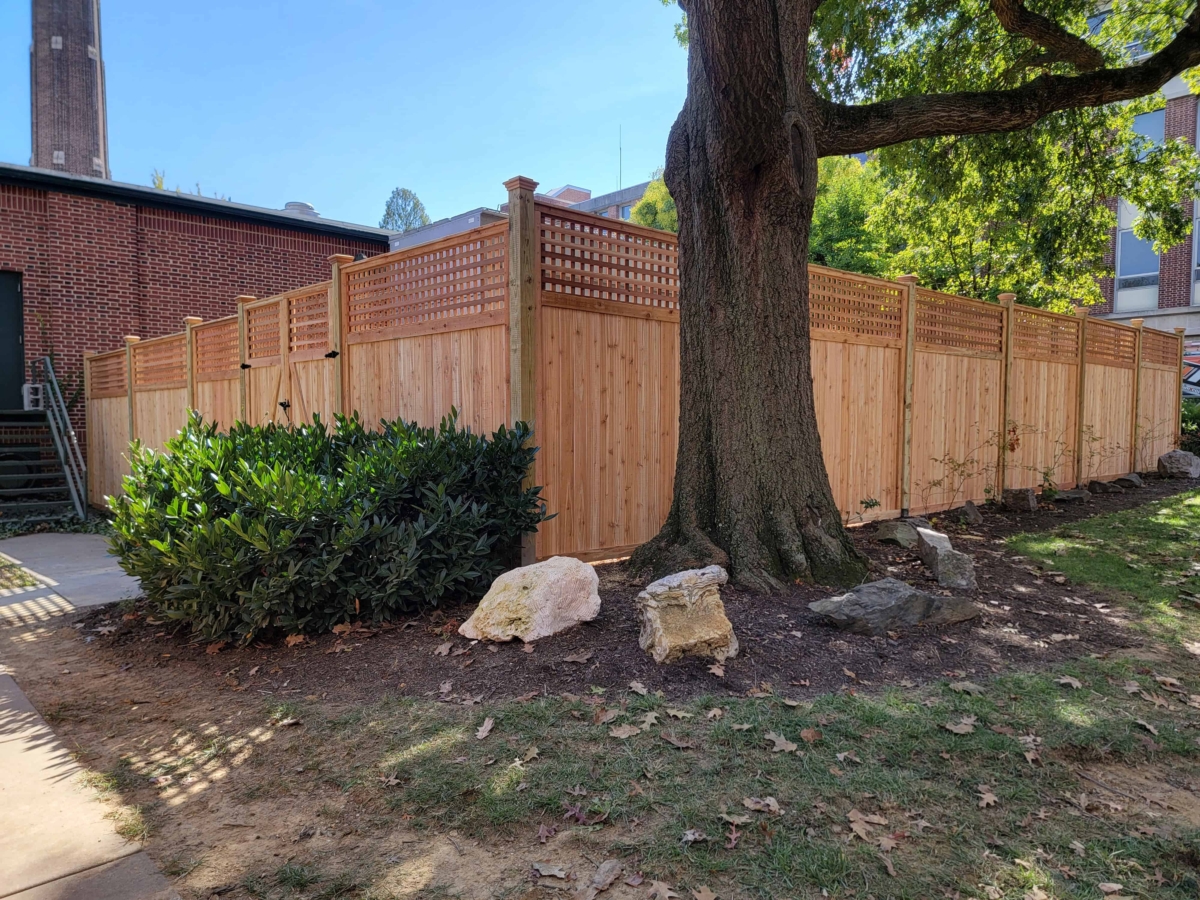 wood lattice top privacy fence