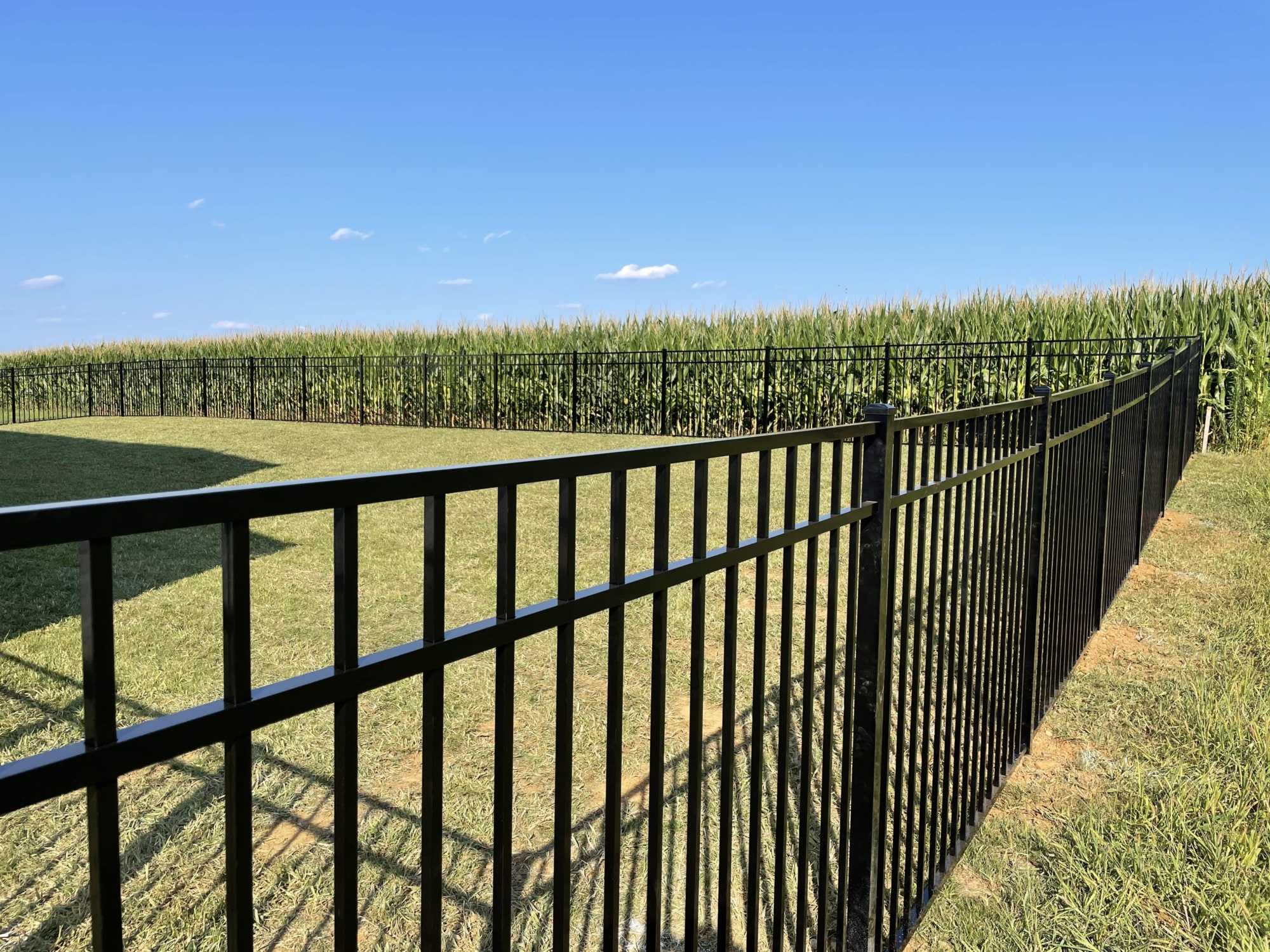 Black steel backyard fence