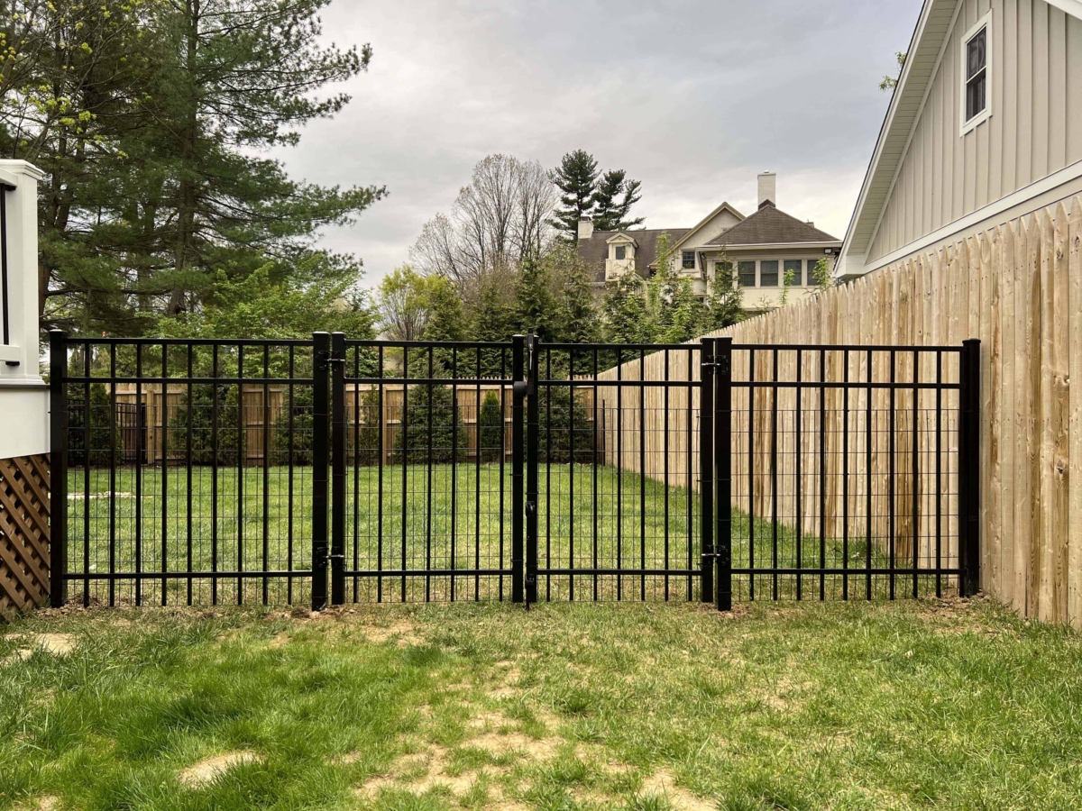 black metal backyard fence