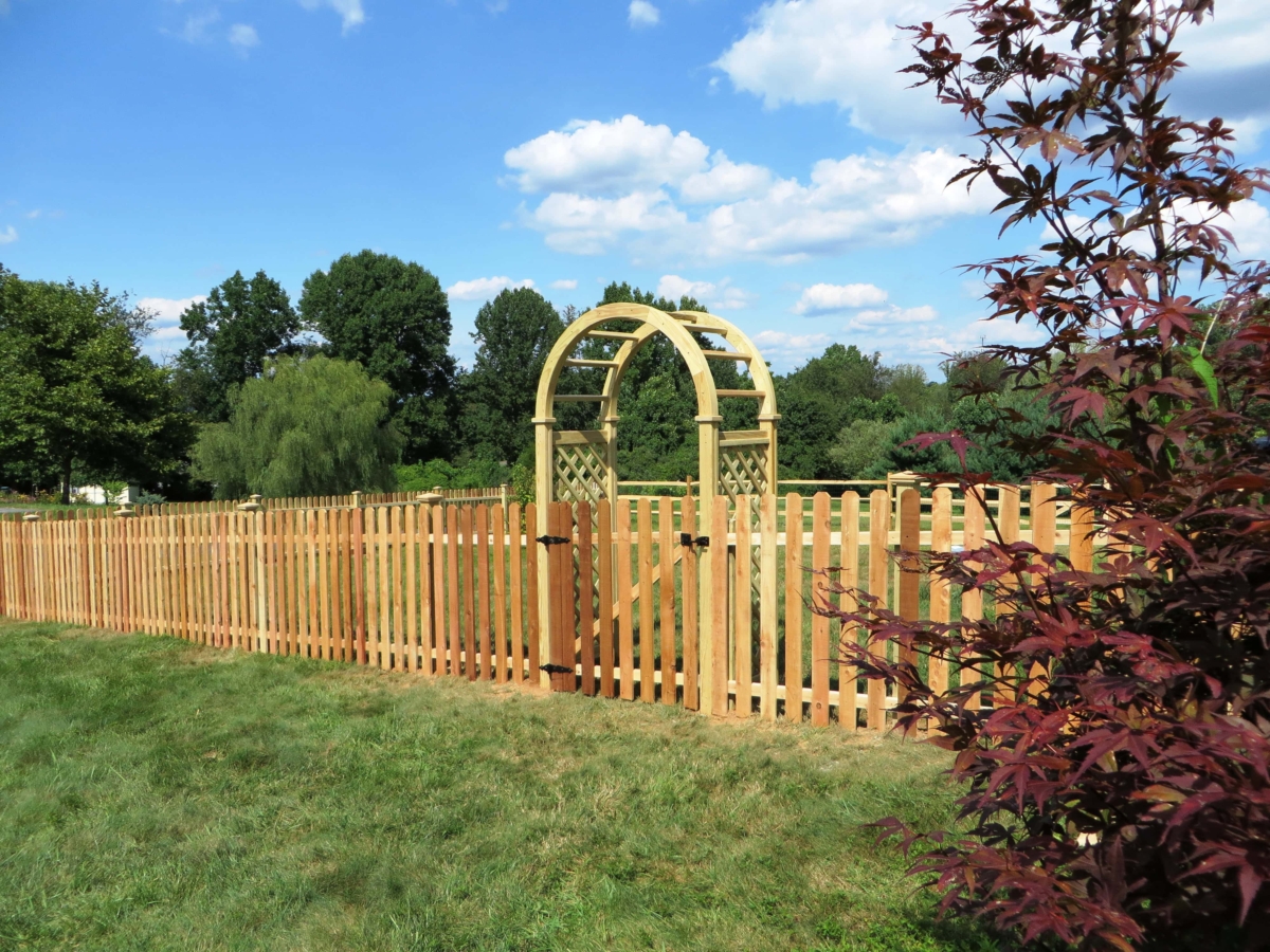 4' tall wood picket fence with arbor