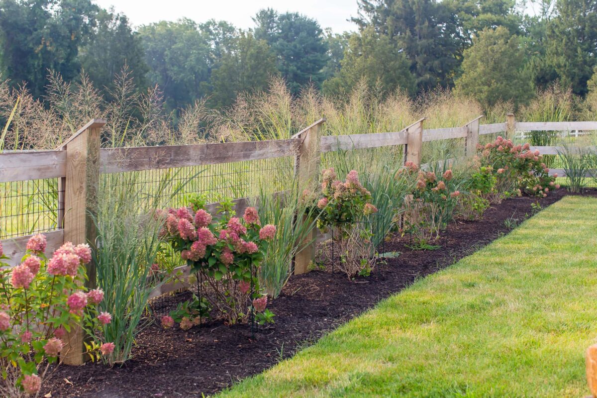 4' red cedar fence with wire mesh