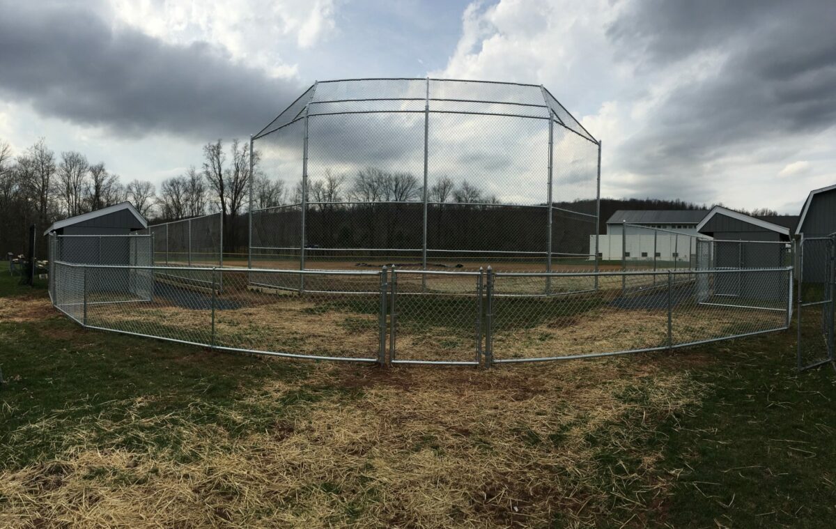 chain link ball field fence with backstop