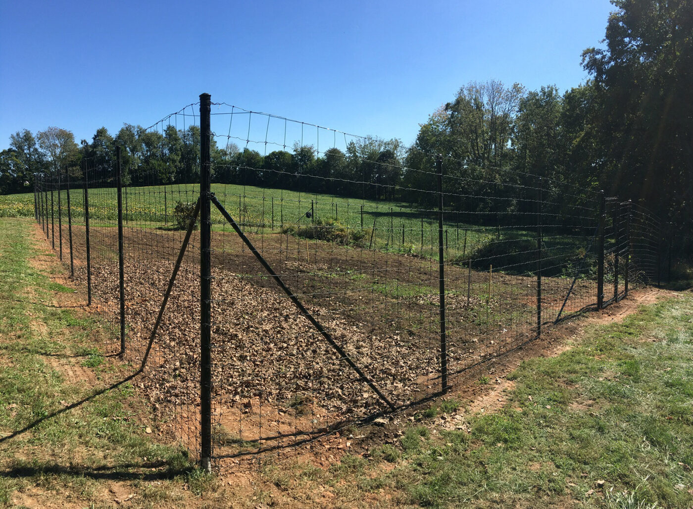 Deer Fences & Wildlife Control Integrous Fences and Decks
