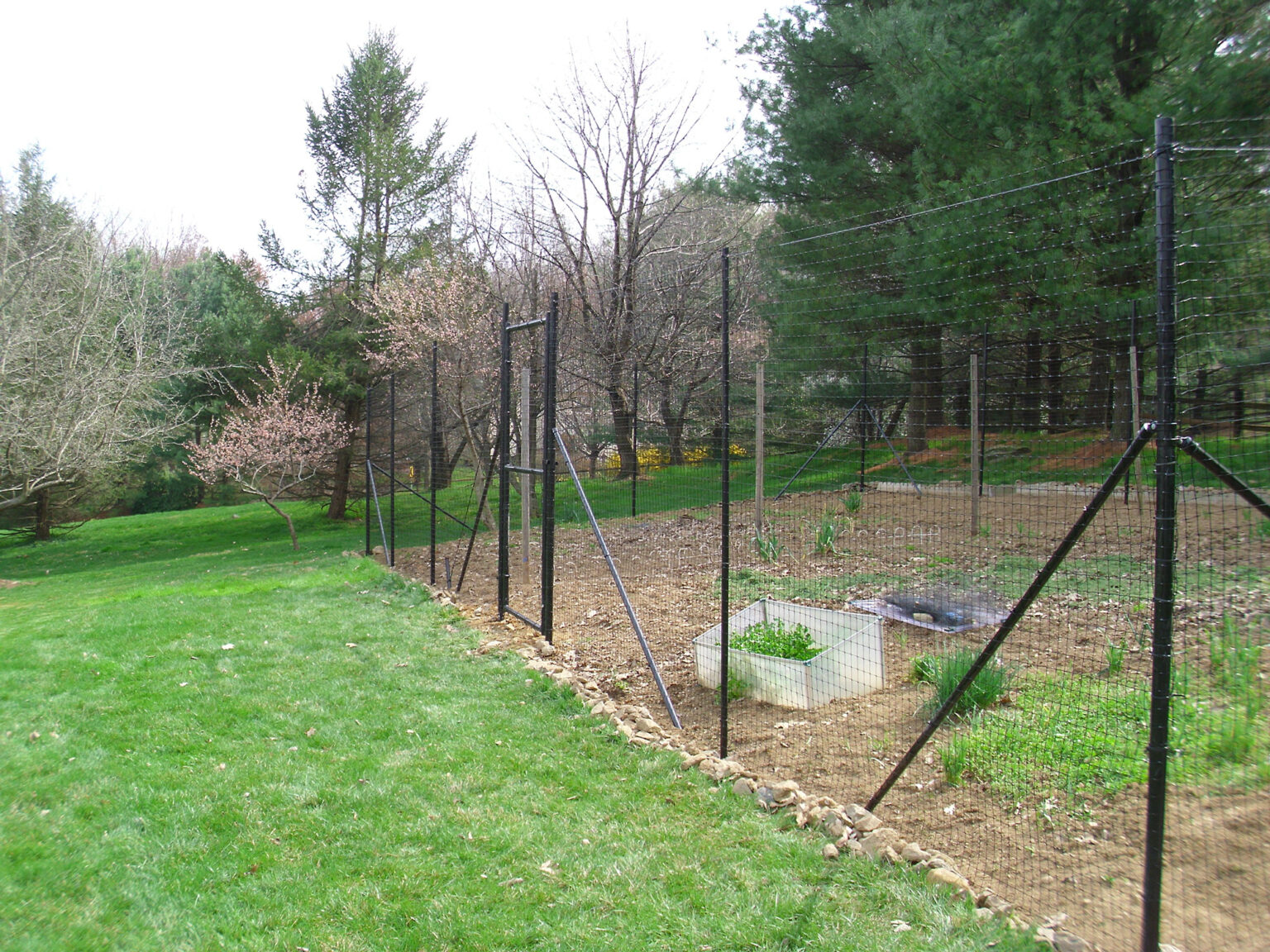 Deer Fences & Wildlife Control - Integrous Fences and Decks