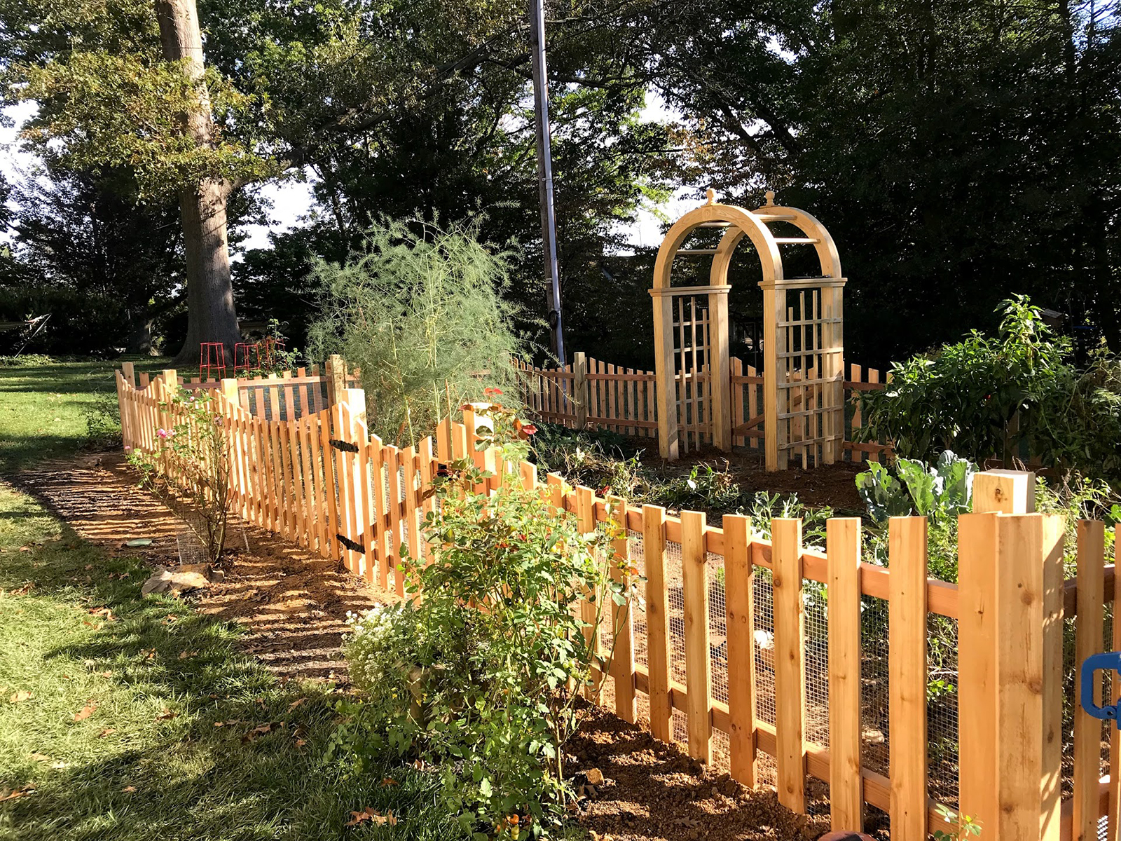 red cedar picket fence around garden with arbor