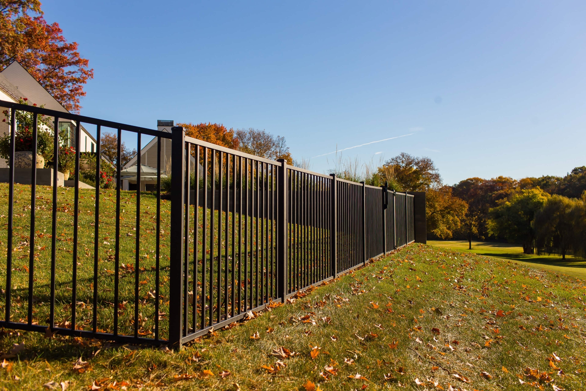 black metal backyard fence