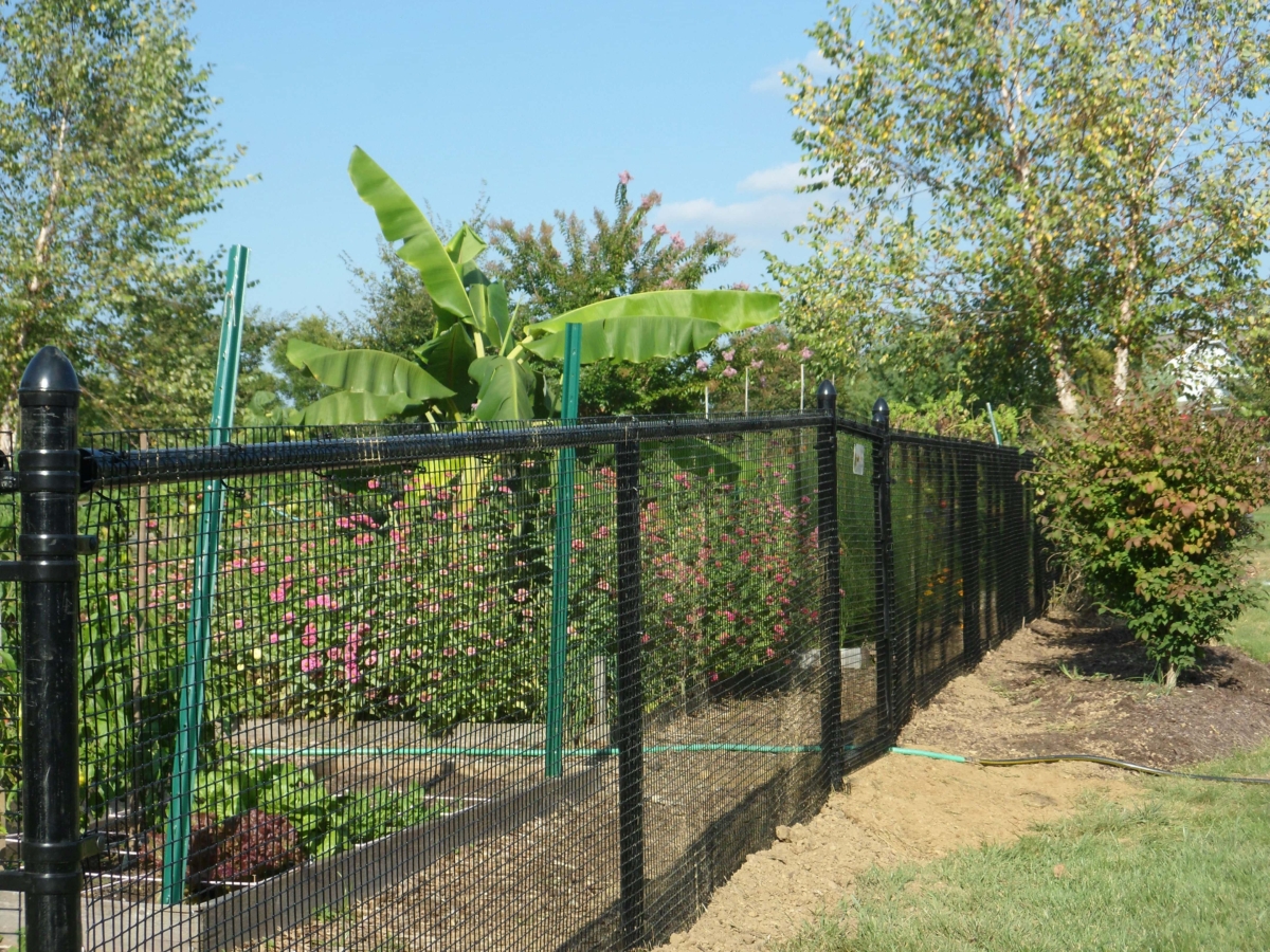 4' tall black garden fence