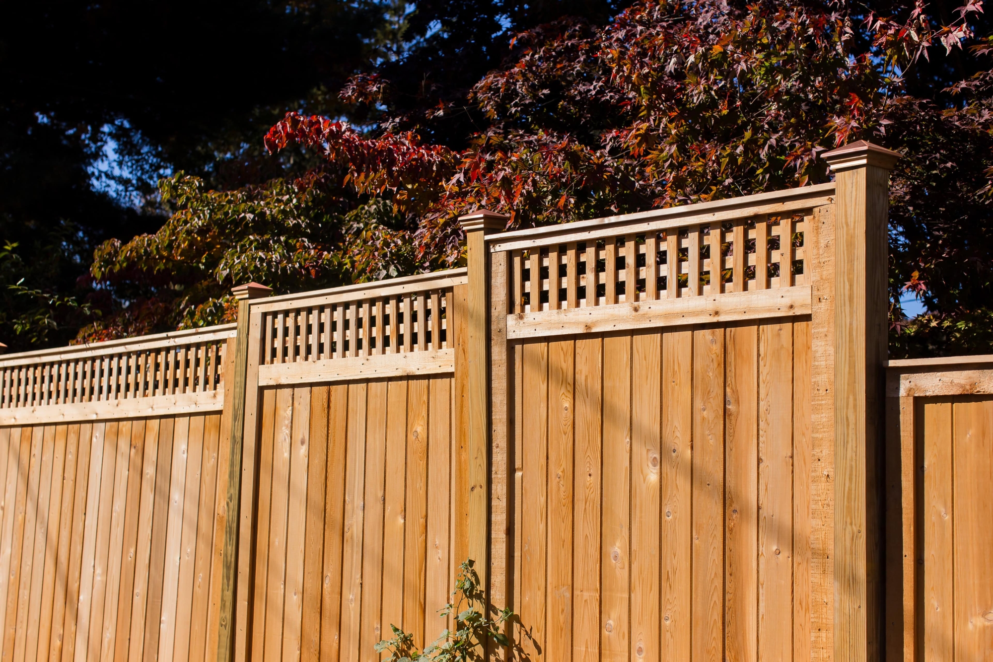 red cedar fence with lattice top