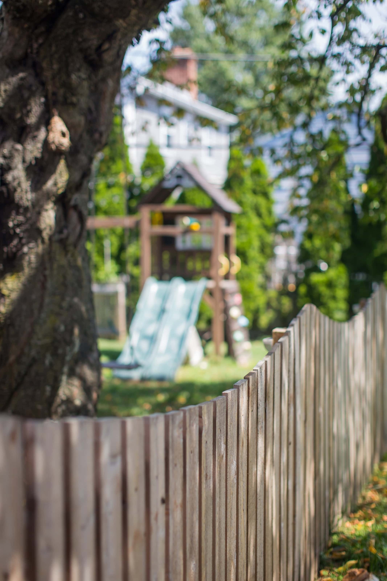wood picket fence in backyard
