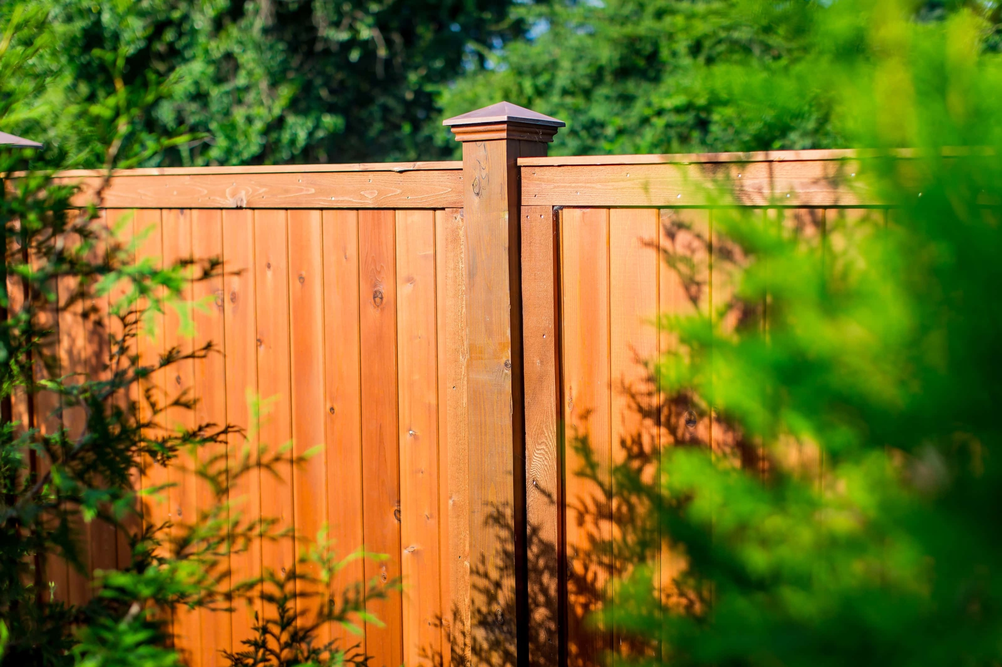 6' tall wood privacy fence